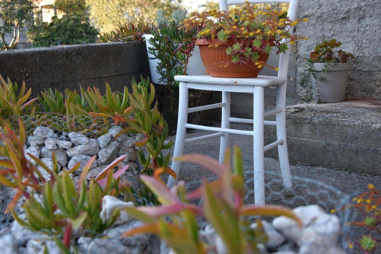 Greenvine Apartment Zadar Exterior foto